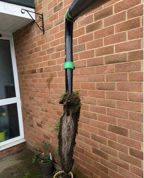 Gutter vacuum removing moss and debris from guttering